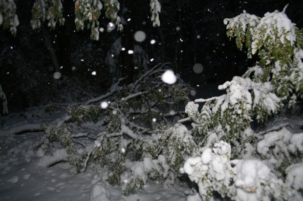 Winter Storm Atlas
